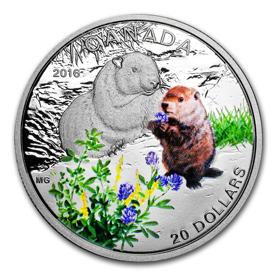 2016 Canada 1 oz Silver $20 Baby Animals (Woodchuck) 2016 Canada 1 oz Silver $20 Baby Animals (Woodchuck)